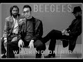 BEE GEES:  WALKING ON AIR  (EXTENDED VERSION)