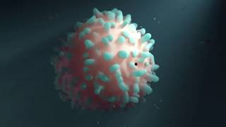 HIV emerging from infected T cell