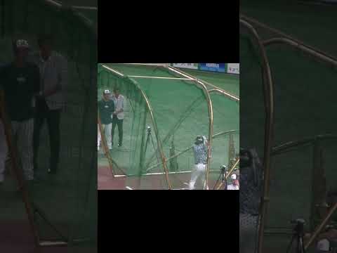松本直樹のフリーバッティング〜2024年9月14日 読売ジャイアンツ対ヤクルトスワローズ