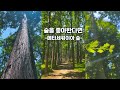086 문화식당 (경북 영덕) 중식맛집 짬뽕맛집 리뷰 feat. 제일식당 (경북 울진) by 키다리짬뽕아저씨