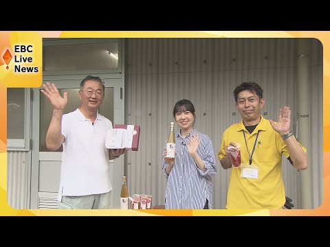 梅小町ページ 4902456778006.jpg