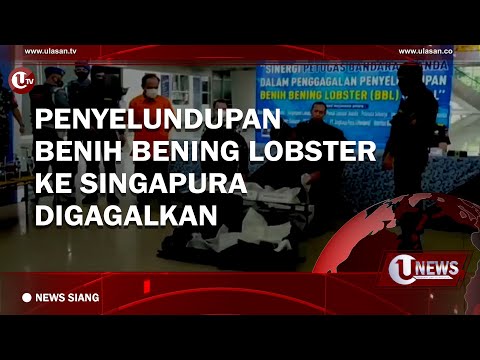 LIVE - U NEWS SIANG 18 MEI 2022