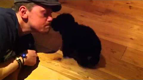 Puppy Kuper, Doug and the hat
