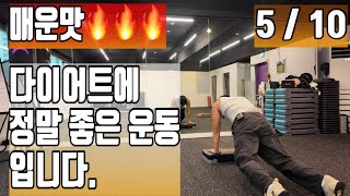 요즘 난리난 다이어트스텝박스 살잘빠지는 운동 끝판왕 스텝박스 홈트