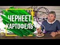 Почему Чернеет Картофель При Хранение ✔️ Можно ли есть почерневший картофель сад