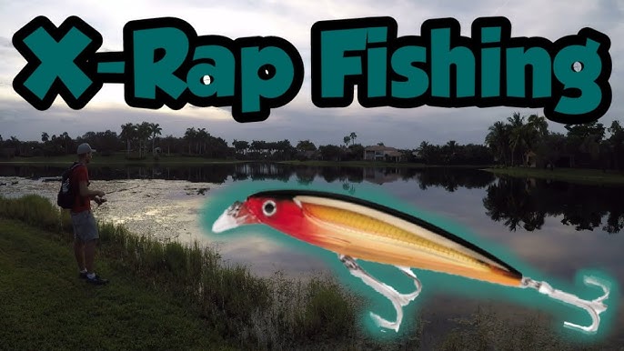 Rapala X-Rap Slashbait - Lure Review + Swimming action My Lure Box 