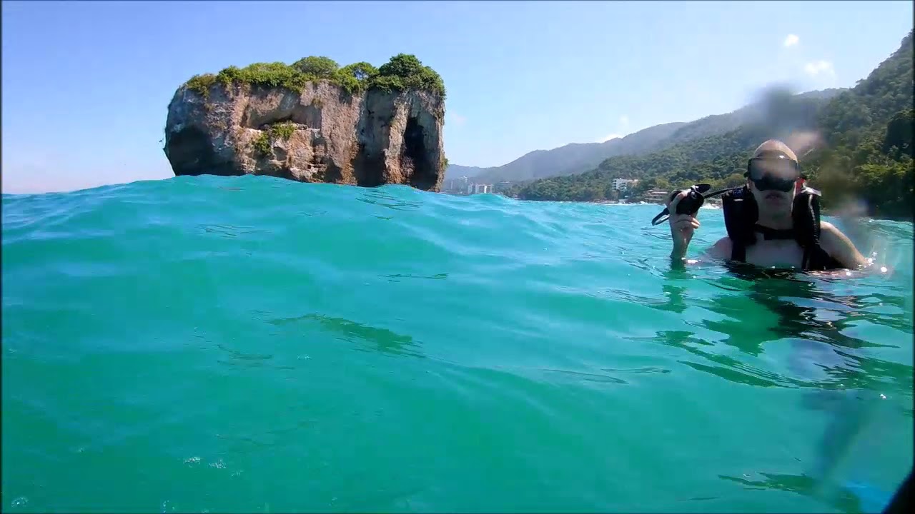 Diving in Puerto Vallarta 2018 YouTube