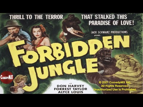Forbidden Jungle