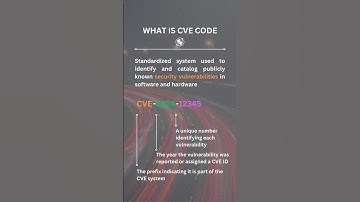 CVE Information Security code Explained