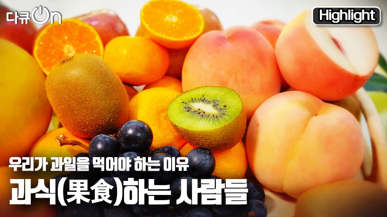 [다큐온] 알록달록 다양한 색을 내는 과일 