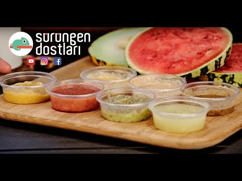 http://bukalemun.biz Sürüngenler için Mama tarifleri