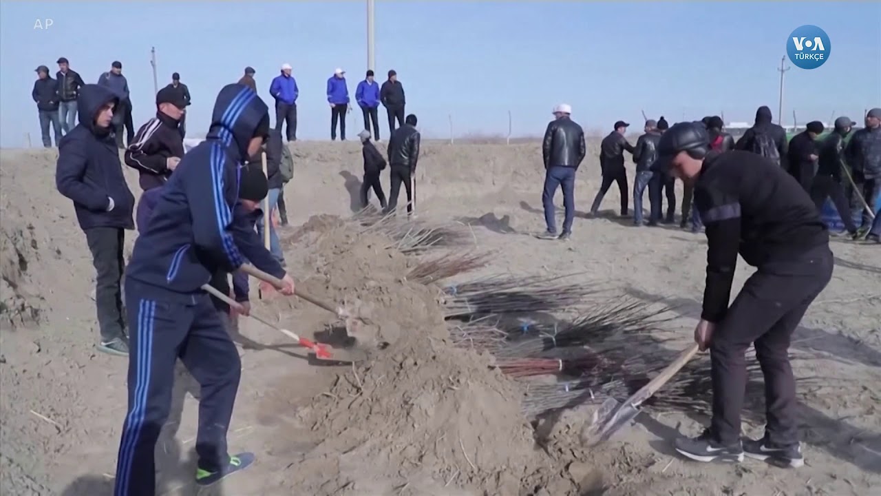 Kurumakta Olan Aral Gölü�nü Ağaçlandırma Çalışmaları YouTube