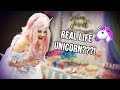 THROWING AN EPIC UNICORN-THEMED 1ST BIRTHDAY PARTY