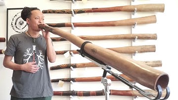 Jesse Lethbridge Didgeridoo key of D (#3991)