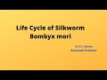 Life Cycle of Silkworm(Bombyx mori)