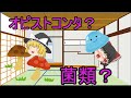 【ゆっくり解説】全生物の進化を見ていこう(5/7)