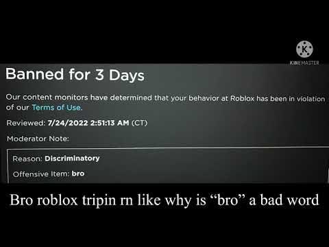 No offense to roblox or anything but their moderation is stupid as hell