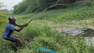 Different type of Fishes Catching|Indian redbilled &amp; Baam &amp; tilapa fish Catch to Small single hook