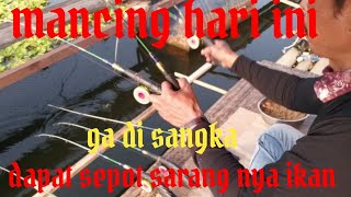 mancing di sarang ikan.