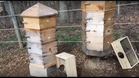 Day 2 Hexhive beekeeping