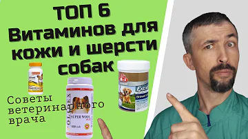 Витамины для шерсти собаки