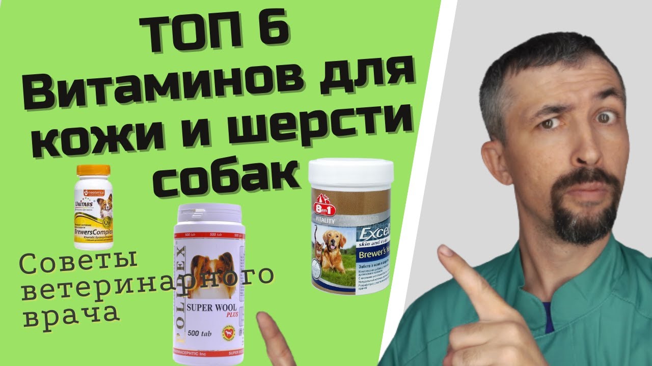 жирорастворимые витамины для собак