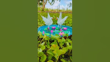 Diy Lotus pond 🪷🦩 🍀 🫧#shorts #youtubeshorts #diy #art #artist #viralvideo #trending