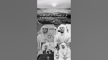 {قل لن يصيبنا إلا ماكتب الله لنا} تلاوة قديمة خااااااشعة ❤️❤️❤️😔 | الشيخ د. ياسر الدوسري