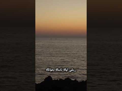 بقى ليك ناسك وحياتك  انغام صوت مصر  تصميمي ترند اغاني2025