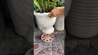 Amazing idea with plastic bottle caps #creative #ideas #diy #tricks #lifehacks #tips #amazing
