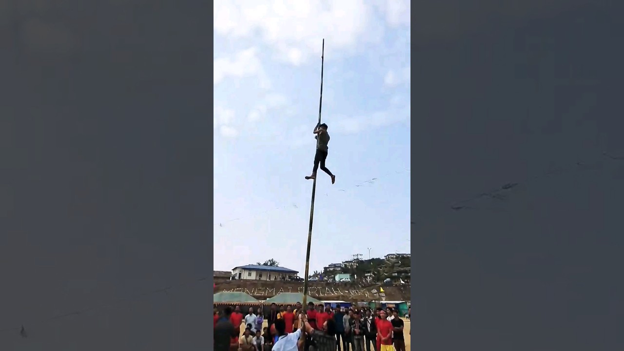 Shock Everyone😱 |Amazing Bamboo Climbing  Challenge 😱 | 