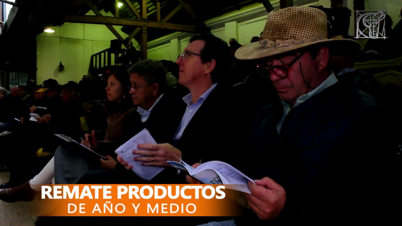 REMATE DE PRODUCTOS DE AÑO Y MEDIO camera iphone 8 plus apk