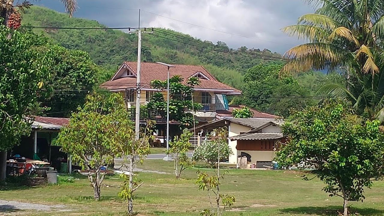 🚫📴🚫ที่ดินพร้อมบ้านแถมรายรับเดือนละ2500สวนมะยงชิด ชะอม สระบุรี วิวเขาใหญ่ 0814177993