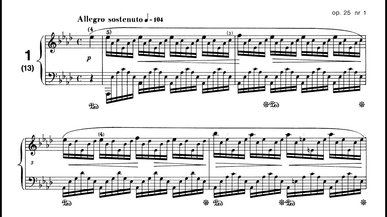Chopin - Etude Op. 25, No. 1 [Do-Hyun Kim]