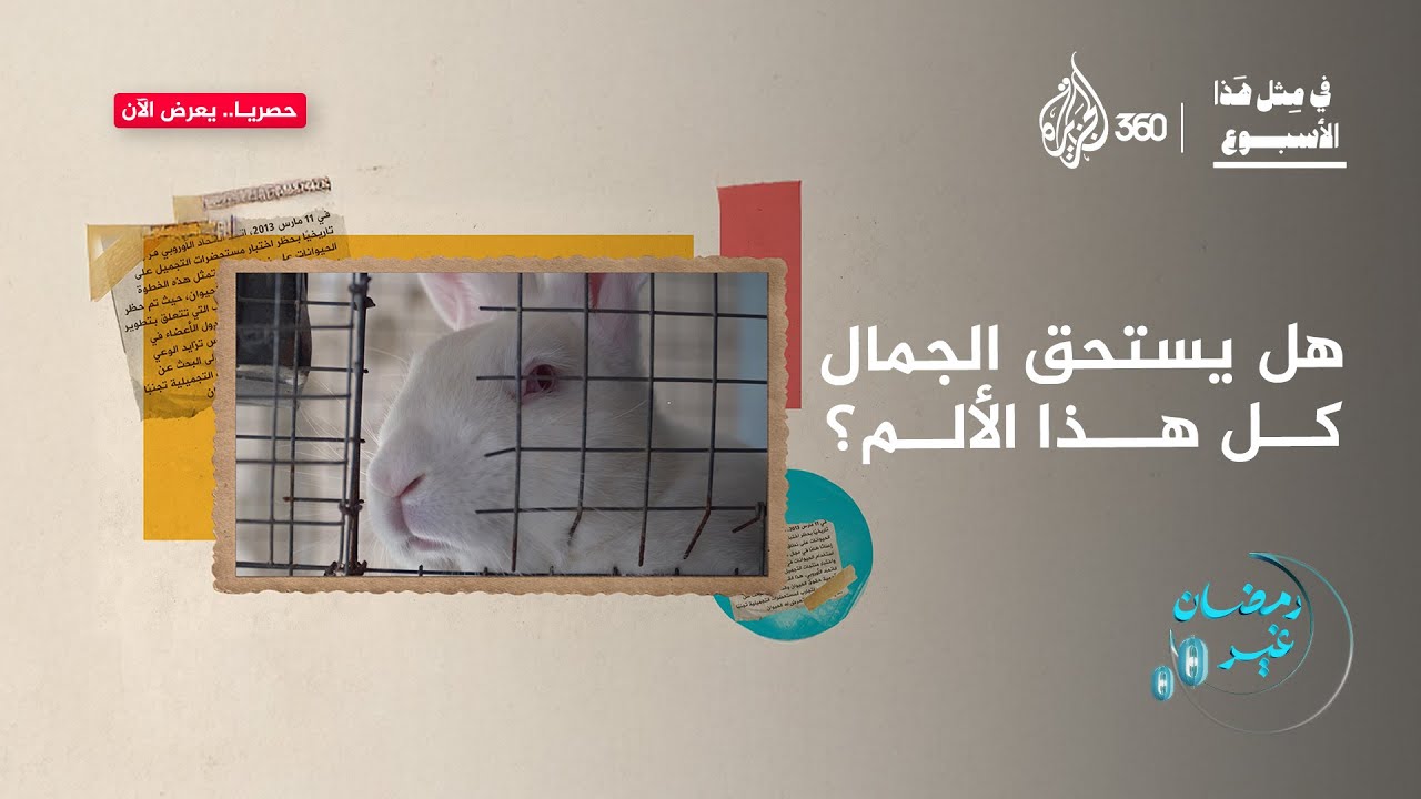 تجارب التجميل على الحيوانات، ضرورة علمية أم جريمة أخلاقية؟ | في مثل هذا الأسبوع
