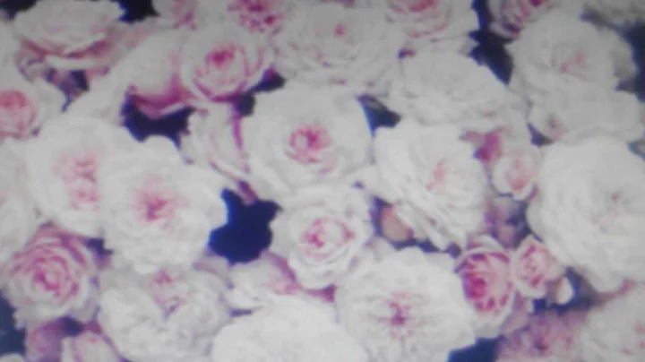 Crystal Castles "VIOLENT YOUTH" Official