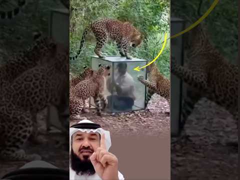 قفص زجاجي رقيق ورجل قوي الإرادة مشهد يختبر أعصابه لا قوته اكسبلور لايك اقتباسات Emotional 