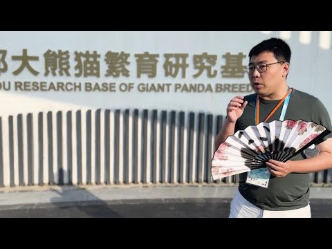 胖哥带你看大运｜走进大熊猫繁育基地，找到“蓉宝”原型啦