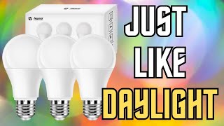 Full Spectrum Light Bulb Review: Experience Natural Sunlight with 6000K LED Bulbs - 3 Pack screenshot 3