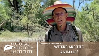 Notes From The Field - Episode 38: WHERE ARE THE ANIMALS?
