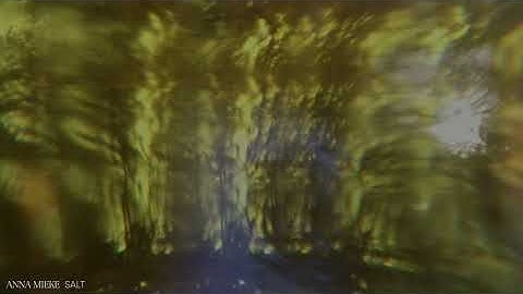 Thumbnail of Anna Mieke - Salt (Official Audio)