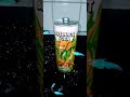 Italian Brainrot Soda, Cactus taste. #italianbrainrot #soda #sunday #shorts