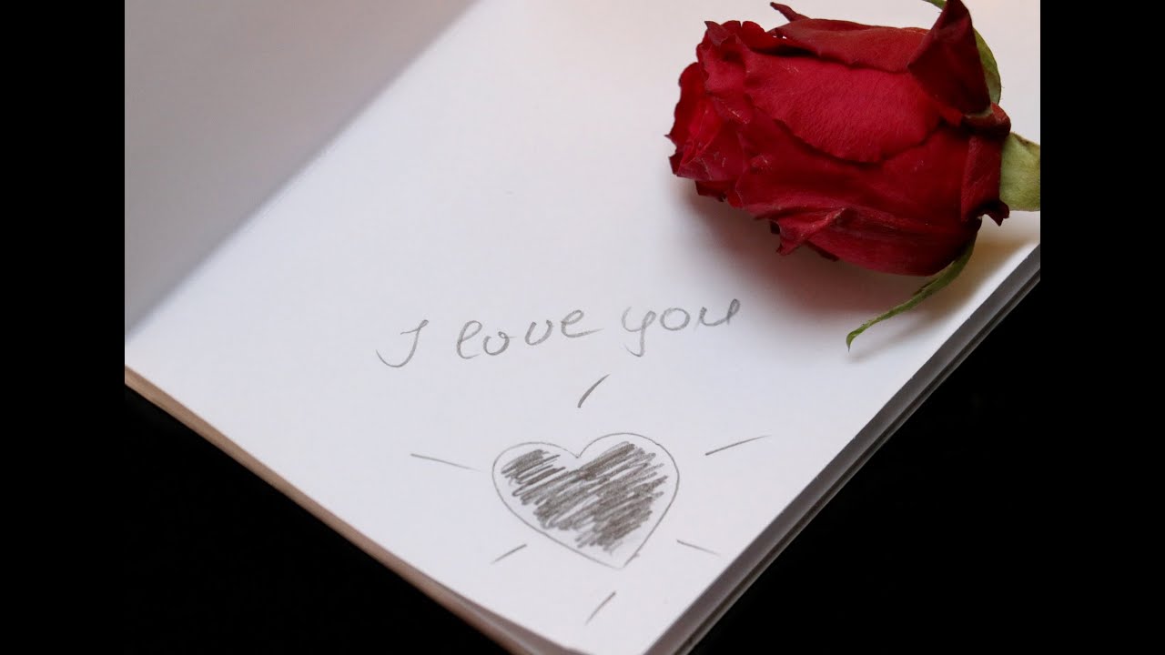 12 : Paper Roses - Anita Bryant 12 : Paper Roses - Anita Bryant