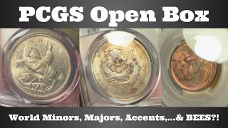 Celebrity PCGS Open Box - World Coins - Minors, Majors, Accents, ... & BEES?! Profile