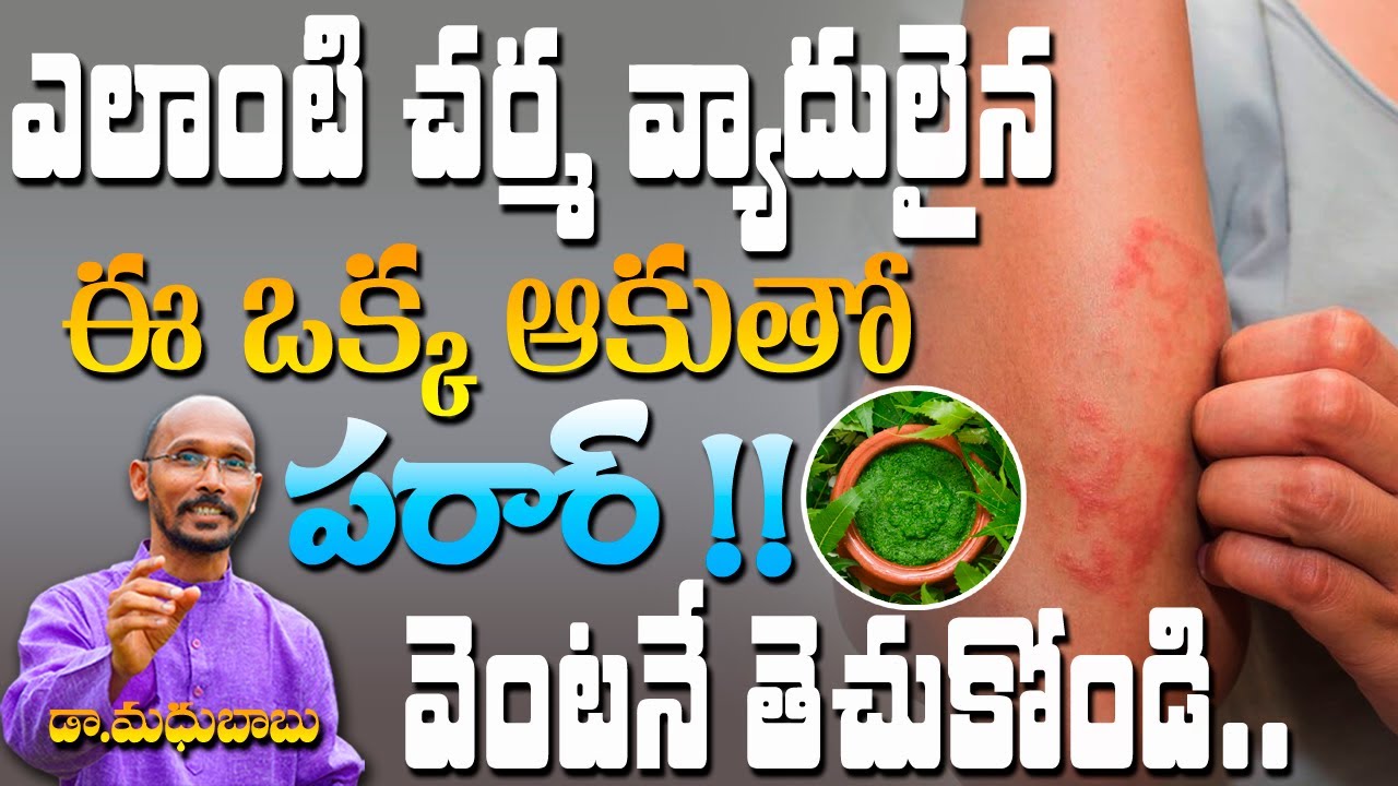 ఎలాంటి చర్మ వ్యాదులైన  ఈ ఒక్క ఆకుతో పరార్ !! | Dr. Madhu Babu | Health Trends |