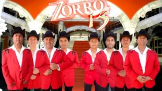 100 VIDAS ZORRO 15 (2015)