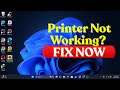 Windows 10/11 Printer Not Working — Do This Now