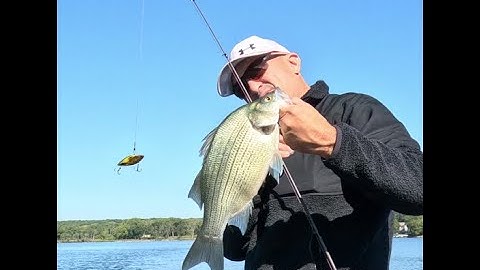 Join us on an unforgettable adventure as we reel in Lake Trout and White Bass in Green Lake, WI.