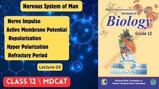 Celebrity Nerve Impulse| Active Membrane| Hyper Polarization| Refractory Period |Lecture 3 |Chapter 5 12 class Net Worth