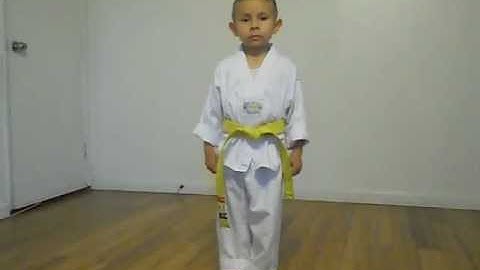Taegeuk 1/ Taegeuk IL Jang/ yellow belt poomsae/ 5yr old